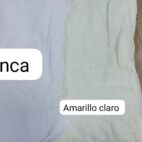 cef020c7-5b7e-4da9-ab58-bc4c35acb881